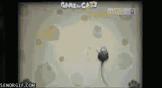 Acid Gifdump, November 11 (25 gifs)