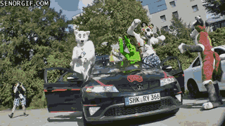 Acid Gifdump, November 11 (25 gifs)
