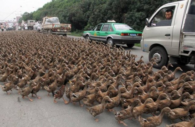 Acid Picdump. Part 1 (92 pics)