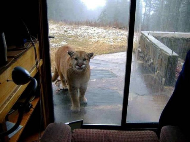 Acid Picdump. Part 1 (92 pics)