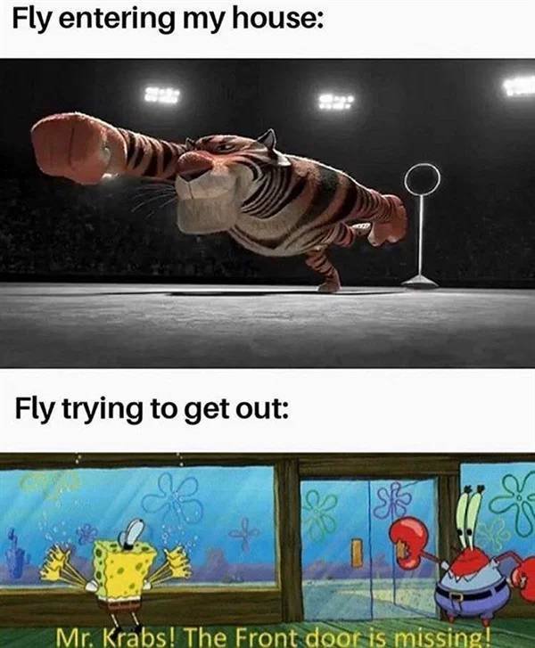 Hilarious Memes (41 pics)
