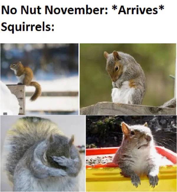 Hilarious Memes (41 pics)