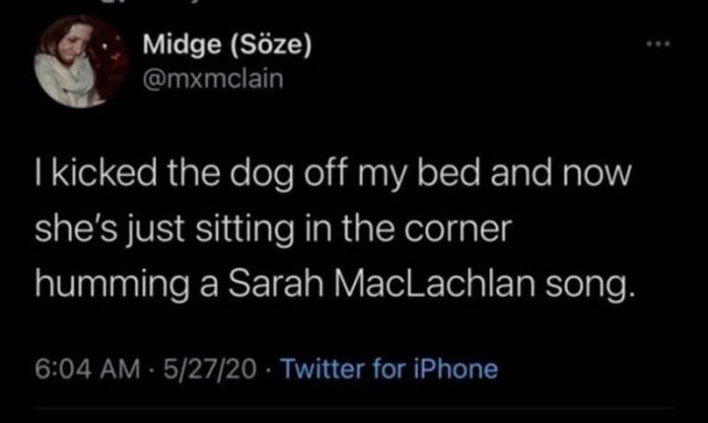 Funny Tweets (28 pics)