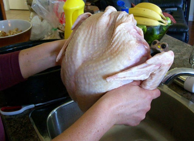 Food Safety Facts (15 pics)