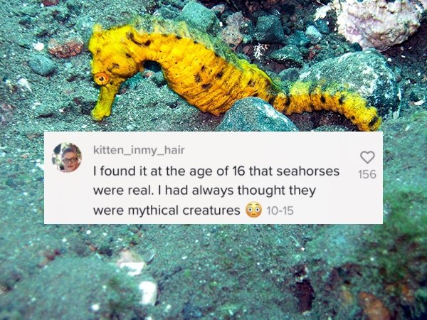 Things That People Just Learned (23 pics)