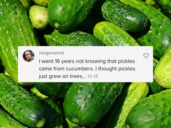 Things That People Just Learned (23 pics)