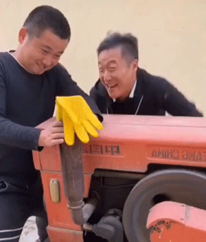 Acid Gifdump, November 13 (25 gifs)