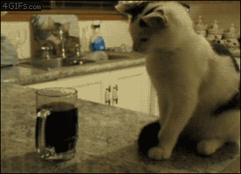 Acid Gifdump, November 13 (25 gifs)