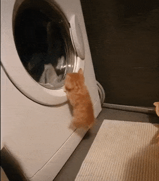 Acid Gifdump, November 13 (25 gifs)