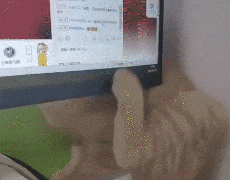 Acid Gifdump, November 13 (25 gifs)