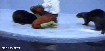Acid Gifdump, November 13 (25 gifs)