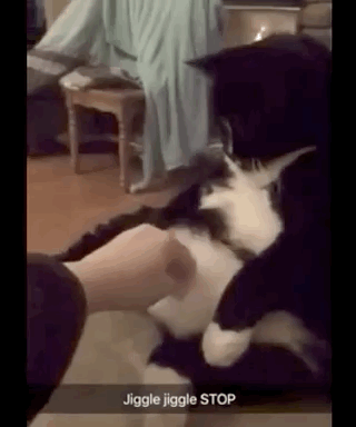Acid Gifdump, November 13 (25 gifs)