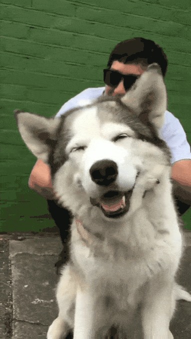 Acid Gifdump, November 13 (25 gifs)