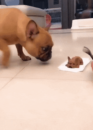 Acid Gifdump, November 13 (25 gifs)