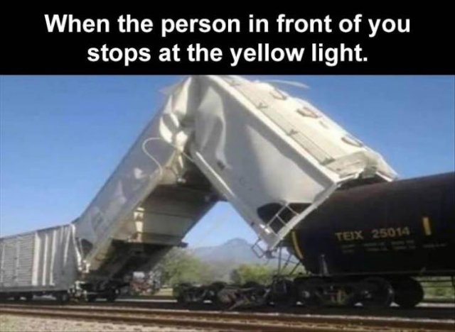 Random Funny Memes (71 pics)