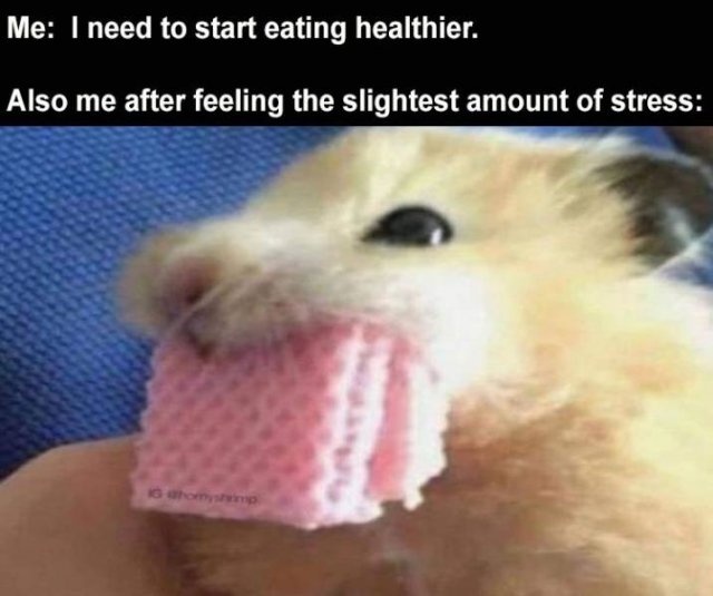 Random Funny Memes (71 pics)