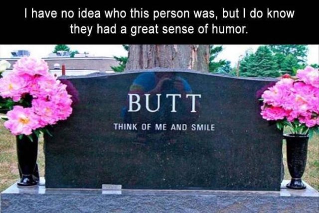 Random Funny Memes (71 pics)