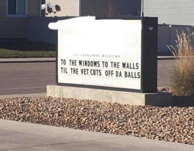 Random Funny Memes (71 pics)