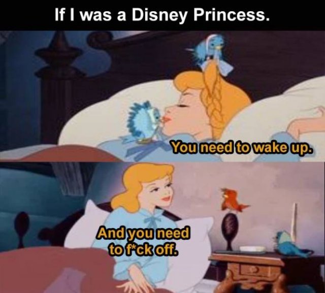 Random Funny Memes (71 pics)