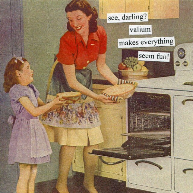 Vintage Illustrations With Sarcastic Comments (21 pics)