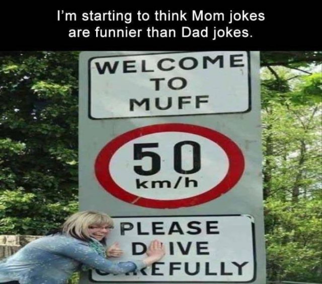 Random Funny Memes (71 pics)