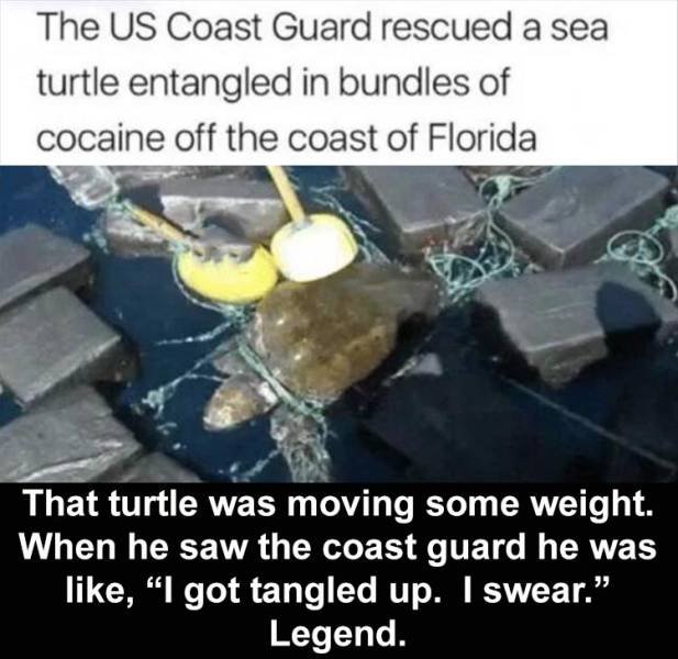 Random Funny Memes (71 pics)