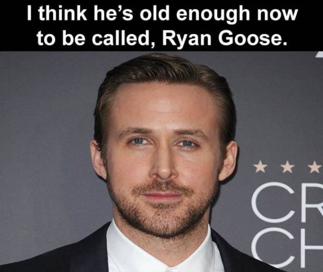 Random Funny Memes (71 pics)