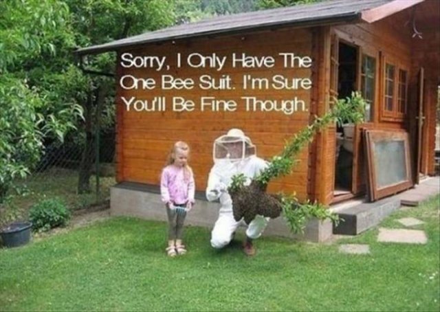 Random Funny Memes (71 pics)