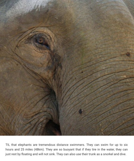 Interesting Facts (24 pics)