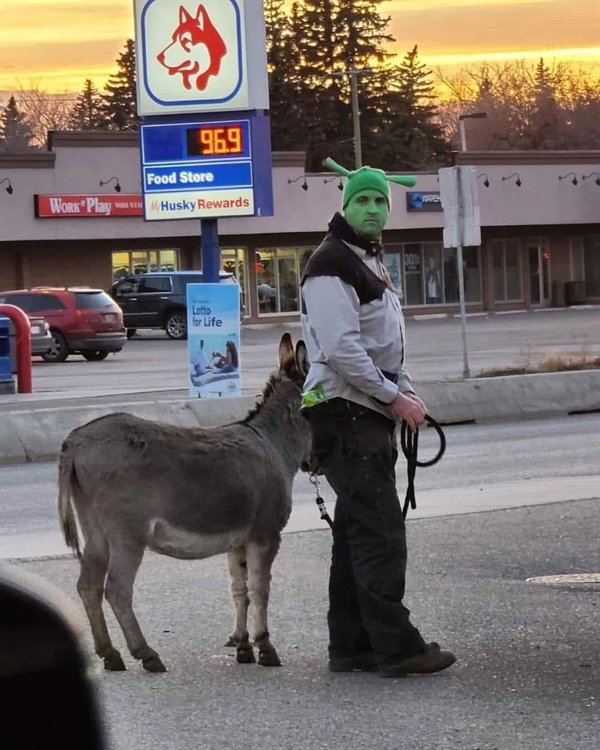 Only In Canada (21 pics)