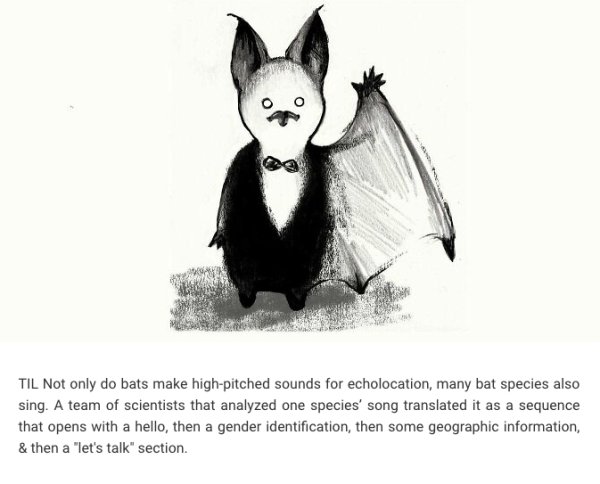 Interesting Facts (24 pics)