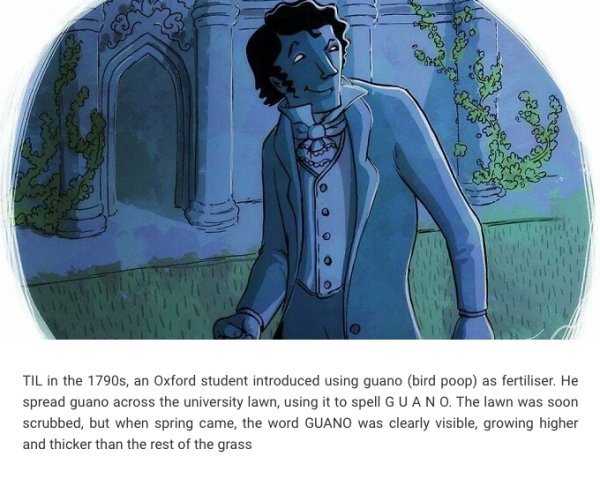 Interesting Facts (24 pics)