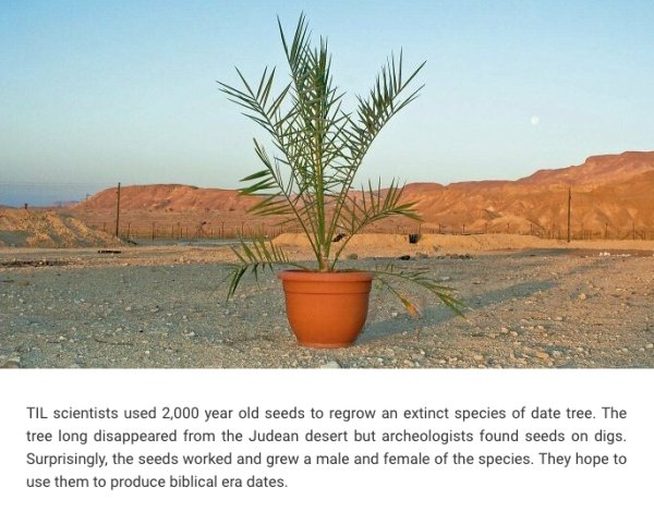Interesting Facts (24 pics)