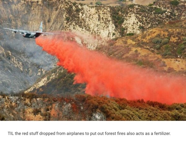 Interesting Facts (24 pics)