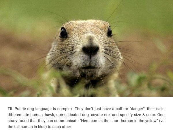 Interesting Facts (24 pics)