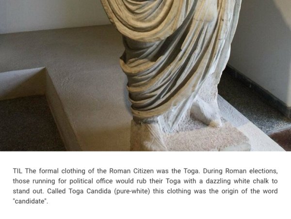 Interesting Facts (24 pics)