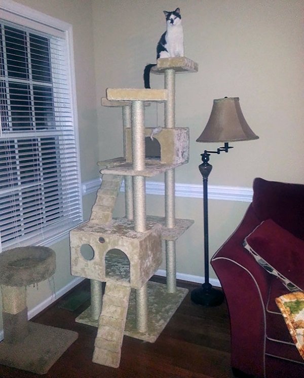 These People Were Right (23 pics)
