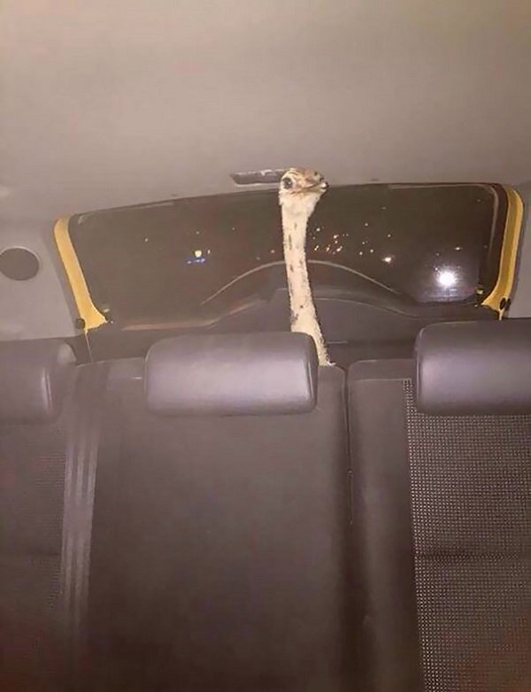 These People Were Right (23 pics)