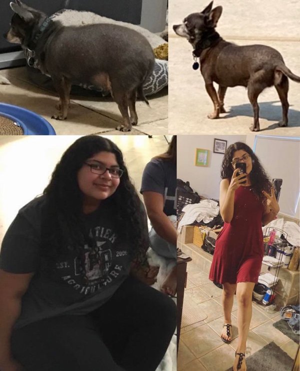 Fantastic Weight Loss (19 pics)