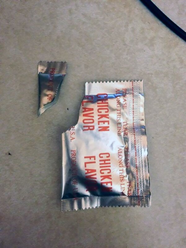 These People Were Right (23 pics)