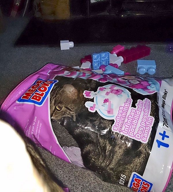 These People Were Right (23 pics)
