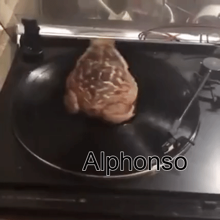 Acid Gifdump, November 16 (25 gifs)