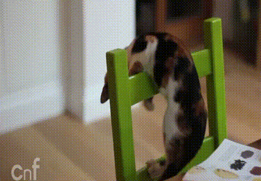 Acid Gifdump, November 16 (25 gifs)