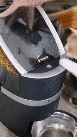 Acid Gifdump, November 16 (25 gifs)