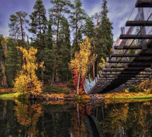 Life In Finland (19 pics)