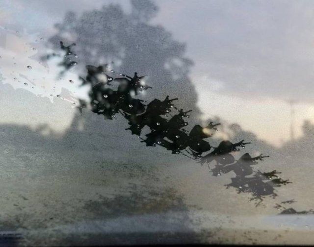 Look Closer (20 pics)