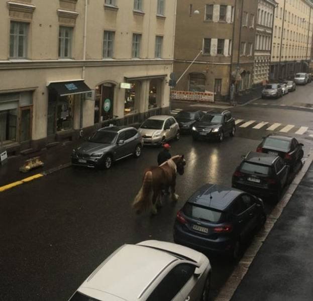 Life In Finland (19 pics)
