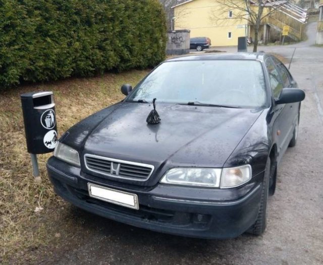Life In Finland (19 pics)