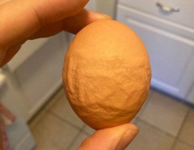 Look Closer (20 pics)