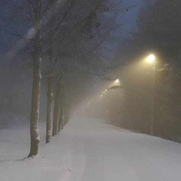 Life In Finland (19 pics)